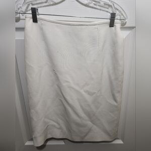 Women's Tahari skirt